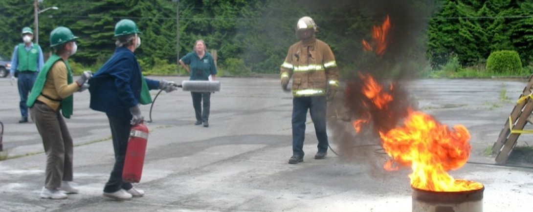 Wildfire image